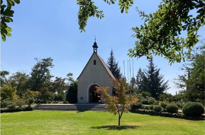 curico-50