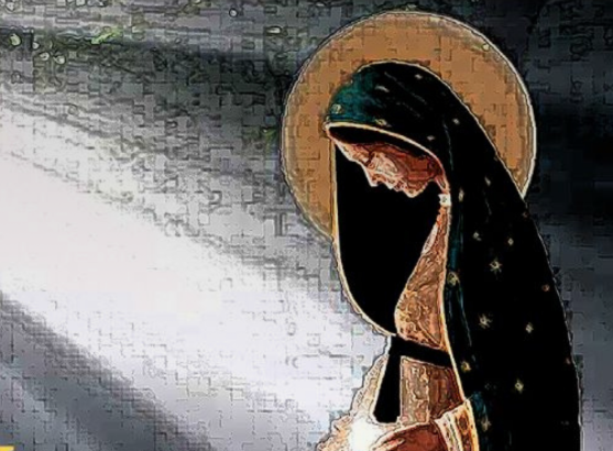 557×410 Plantilla Publicaciones Sitio Wb Medida