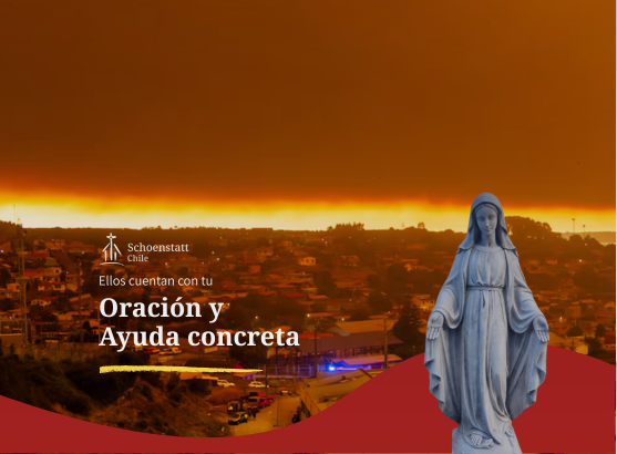 557×410 Plantilla Publicaciones Sitio Wb Medida